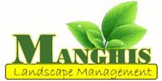 Manghis Landscape Managment